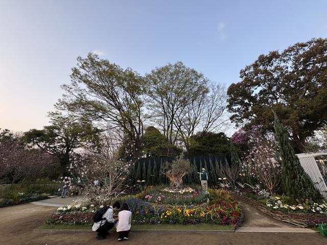 IMG_9368.jpeg