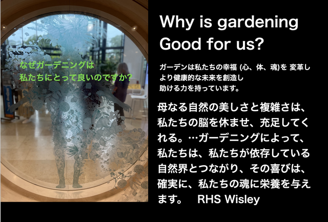 Image 4.png