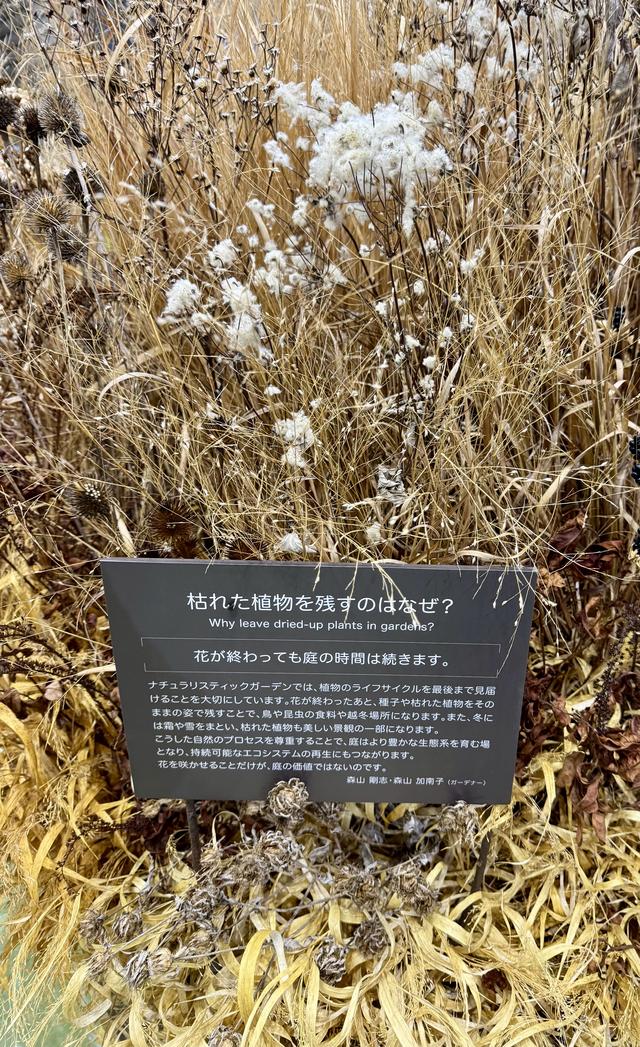 IMG_1232.jpeg