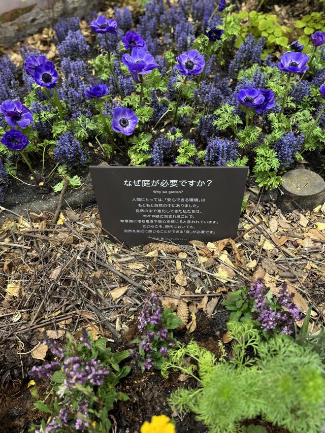 IMG_1301.jpeg