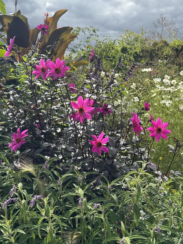 IMG_0394.jpeg