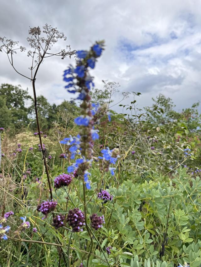 IMG_3471.jpegのサムネイル画像