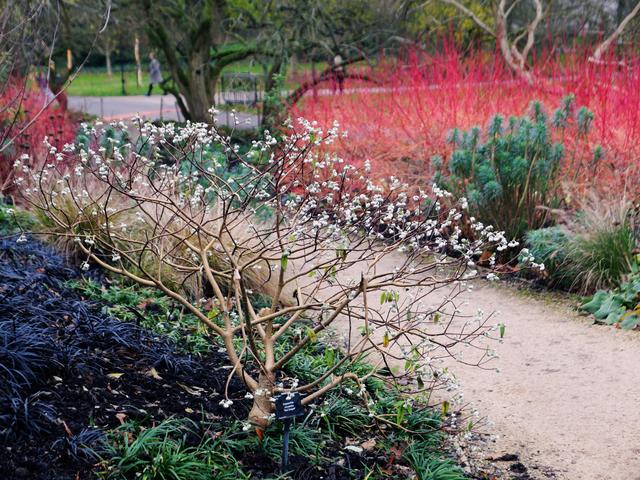 IMG_6332.JPGのサムネイル画像