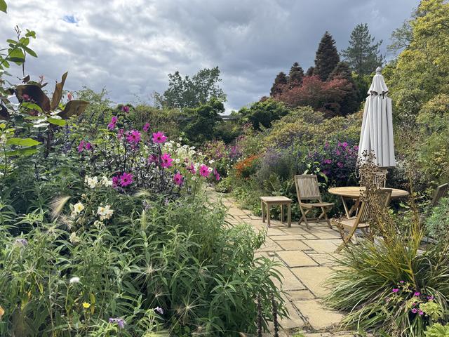 IMG_0390.jpegのサムネイル画像