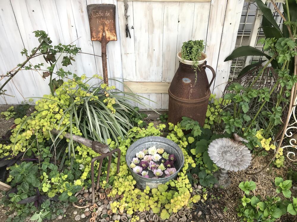 小庭は花盛り＊幸せな空間です - ナチュラルガーデニング日和 ～nobara 