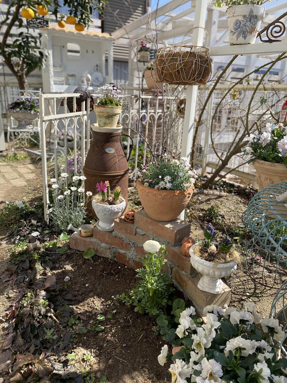 冬の花から春の花へ おすすめの春の花 ナチュラルガーデニング日和 Nobaraの小さな庭より