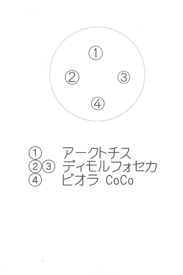 玄関・春'25小.jpg