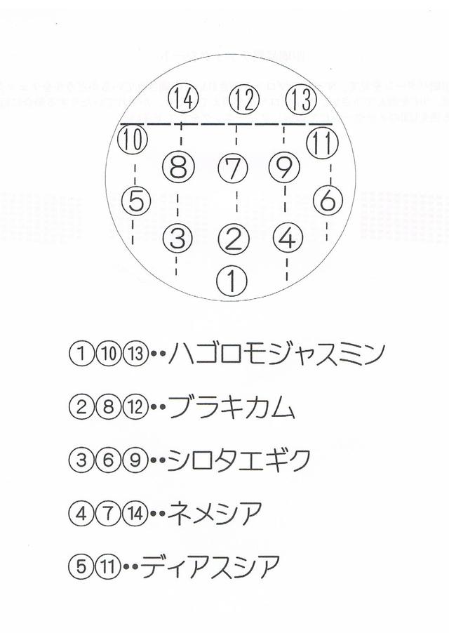 ハンギング3月'25.jpeg