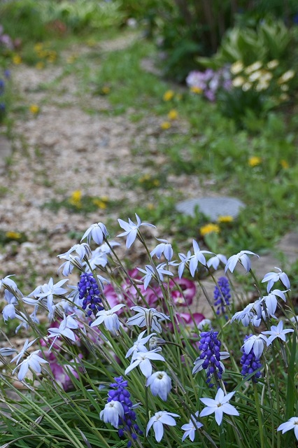 DSC_3254.JPG