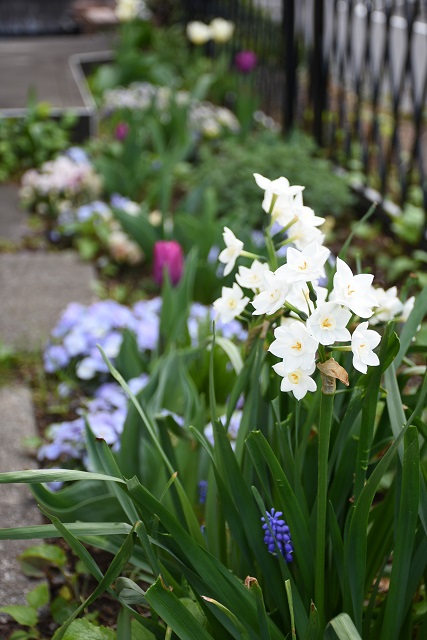 DSC_3263.JPG