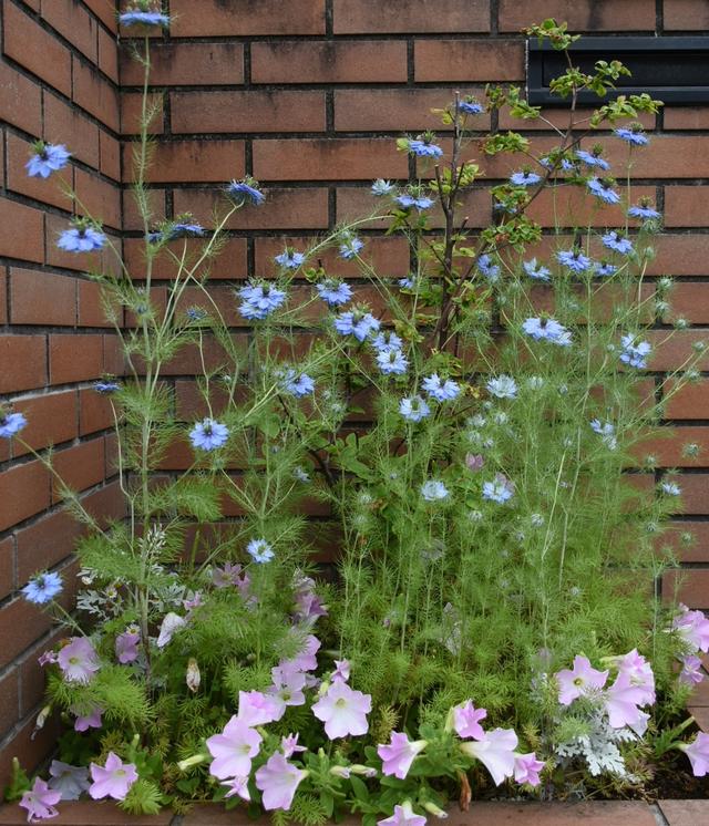 DSC_5259.JPG