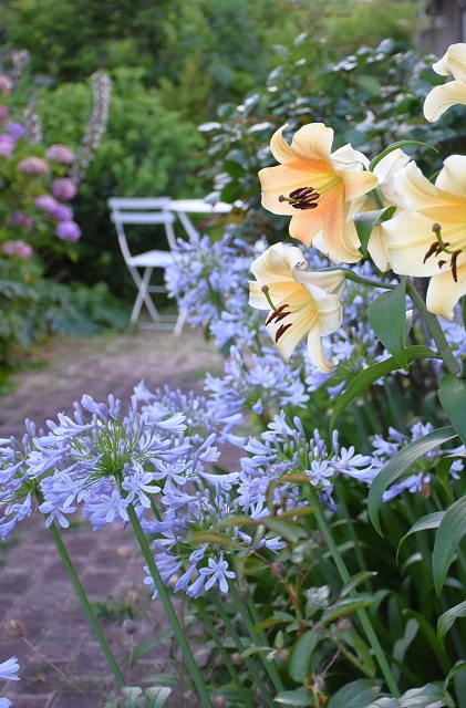 DSC_7438.JPG