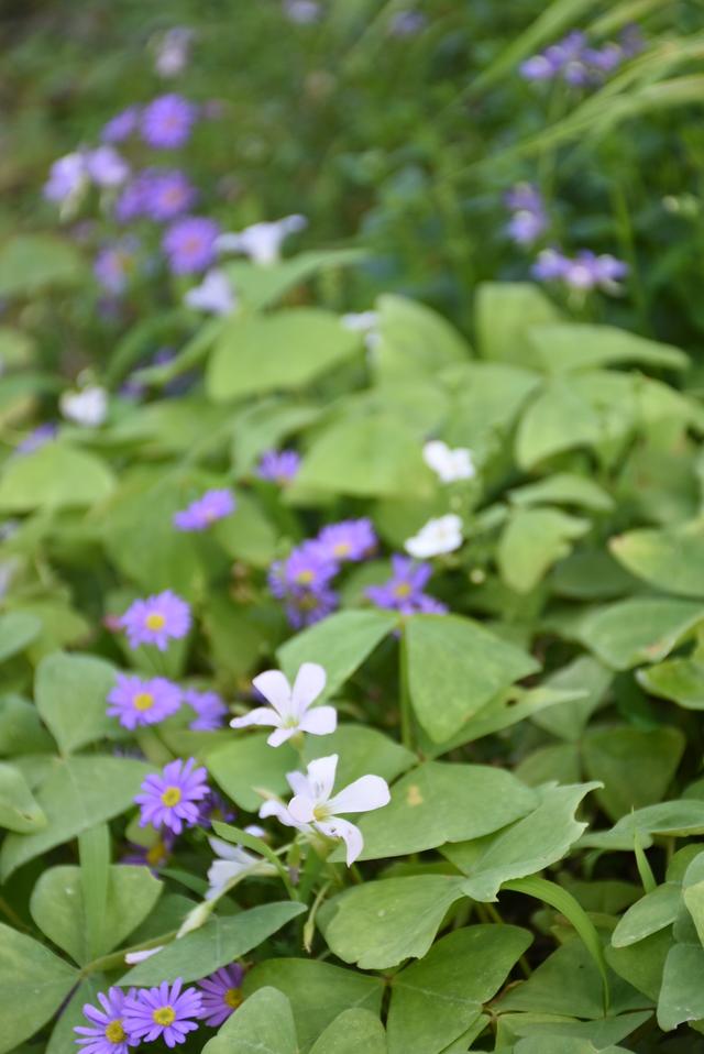 DSC_8341.JPG