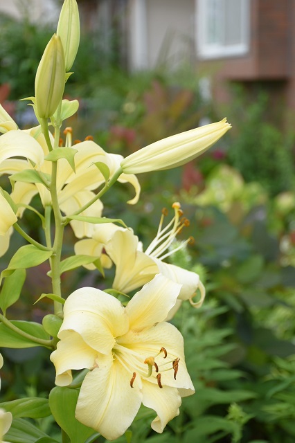 DSC_7840.JPG