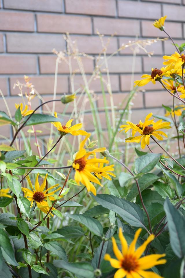 DSC_8373.JPG