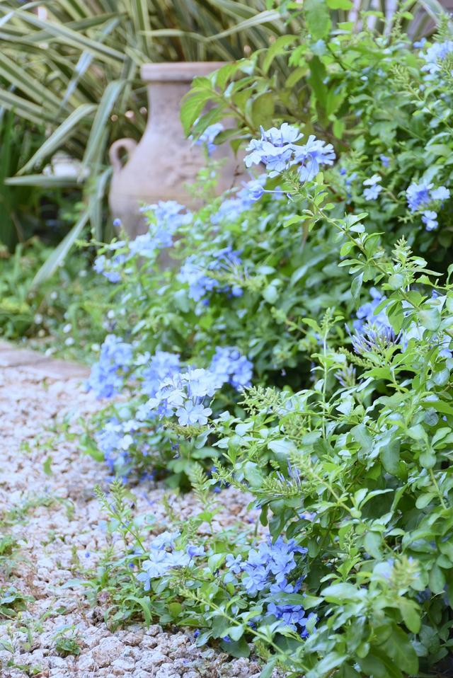 DSC_9078.JPG