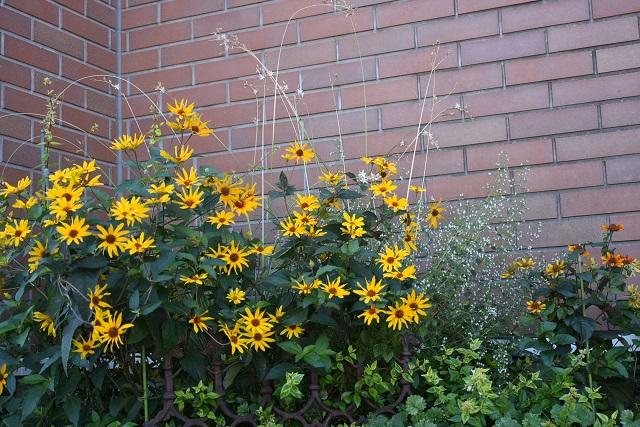 DSC_0865.JPG