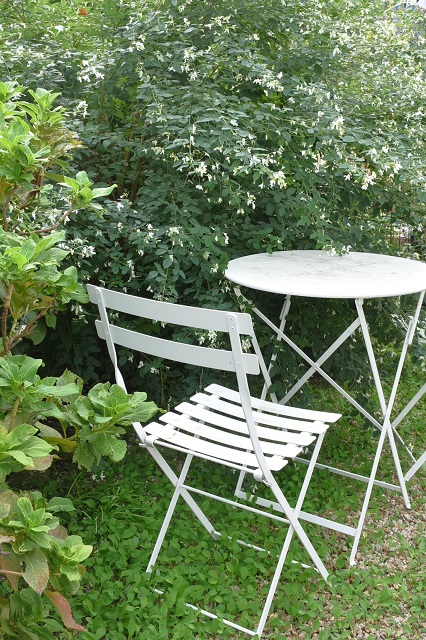 DSC_2454.JPG