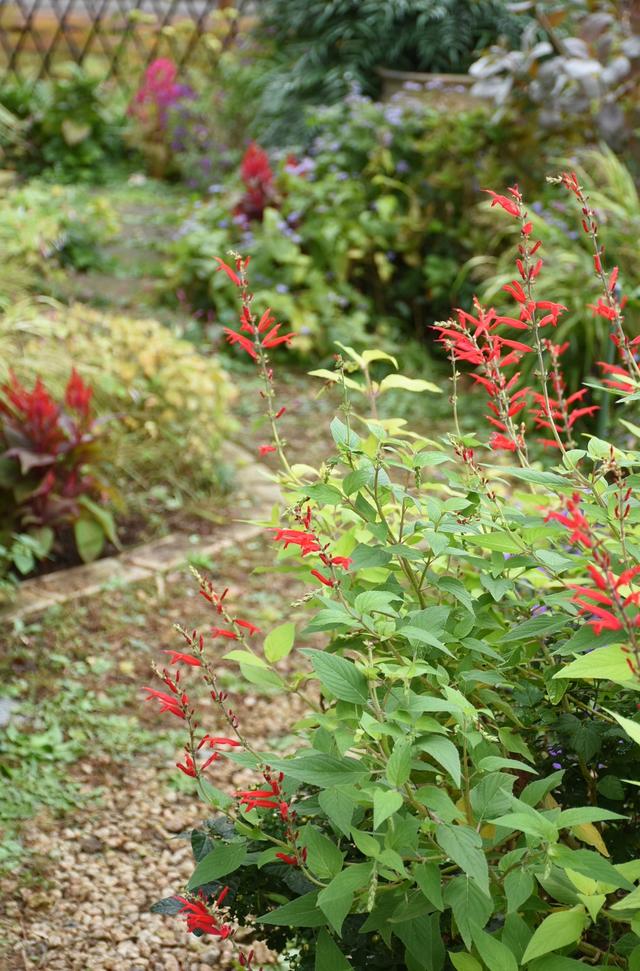 DSC_3276.JPG