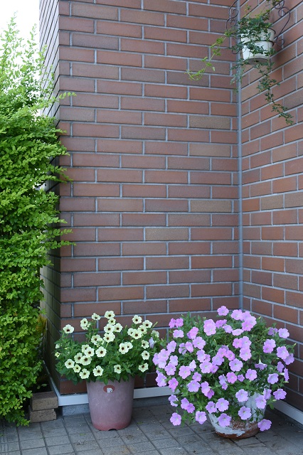 DSC_7263.JPG