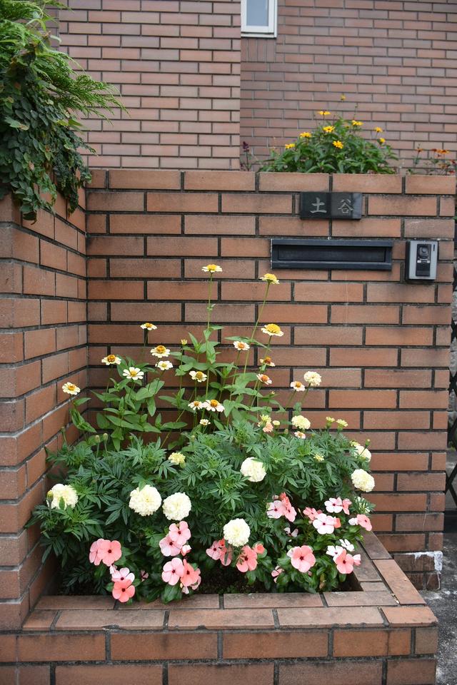 DSC_6862.JPG
