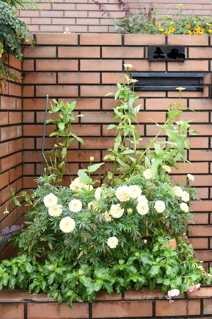 DSC_8991.JPG