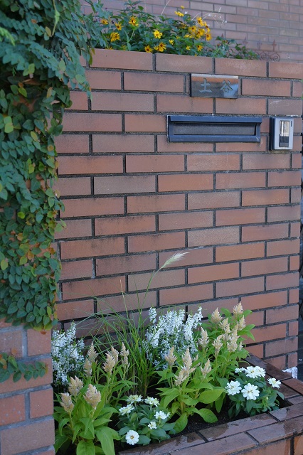 DSC_9048.JPG