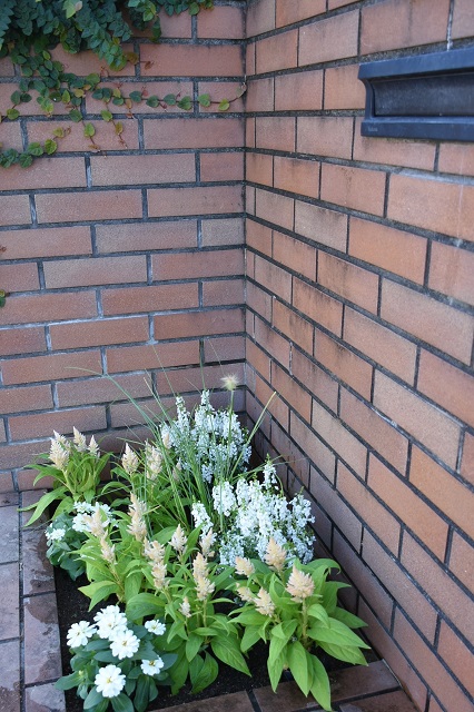 DSC_9054.JPG