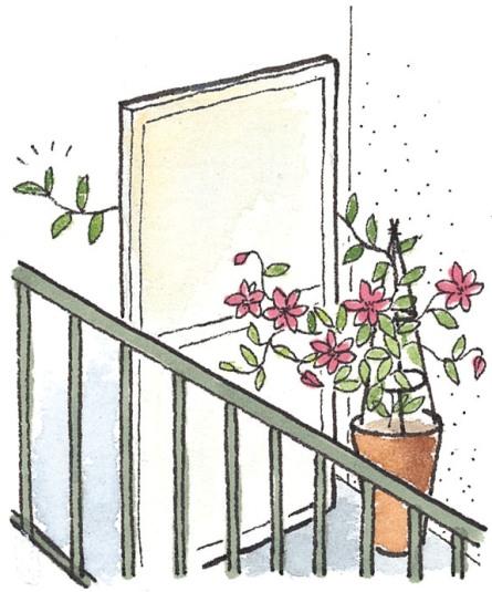 veranda06_il005.jpg