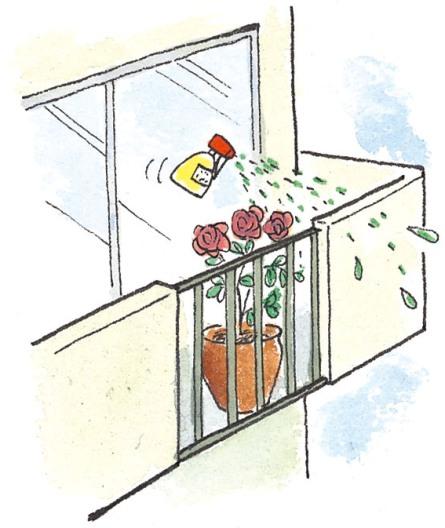 veranda06_il007.jpg