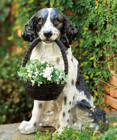 �h�b�O�I�[�i�����g�@�o�X�P�b�g