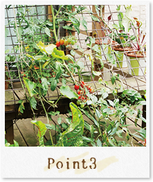 Point3
