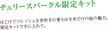 `F[Xp[NLbgu͂ătbVȉ萁͍̍N̖̍́BLbgŎɓāBv