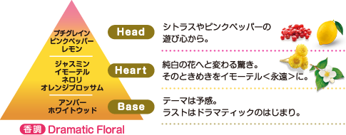 ロクシタン-ジャスミン イモーテル ネロリ- 通販 - ディノス