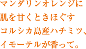 }_IWɔÂƂقRVJYn`~cAC[eāB