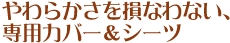 炩𑹂ȂȂApJo[V[c