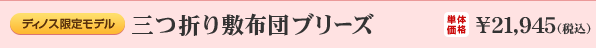 [fBmX胂f]O܂~zcu[YbP̉iF21,945iōj