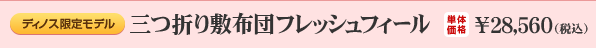 [fBmX胂f]O܂~zctbVtB[bP̉iF28,560iōj