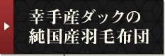 KY_bN̏YHѕzc