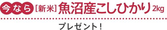 Ȃ狛YЂv[gI