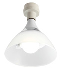 ZT[CgQ Cg}`LED^Cv