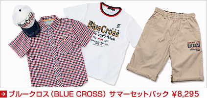 u[NX-964-iBLUE CROSS 964j2013ĕ܃T}[ZbgpbN ʔ
