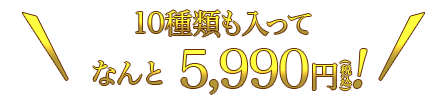 ȂɓāAȂƁA5C990~iōjII