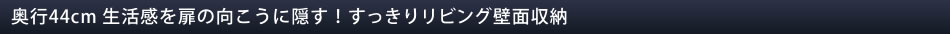 s44cm ̌ɉBI胊rOǖʎ[