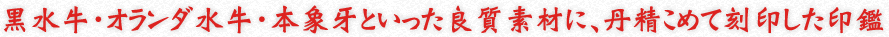 EI_E{ۉƂǎfނɁAO߂č󂵂