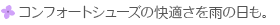 RtH[gV[ỶKJ̓B