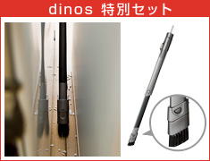 dinos ʃZbg