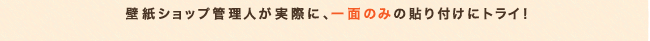 ǎVbvǗlۂɁAʂ݂̂̓\ɃgCI