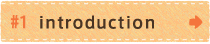 #1 introduction: