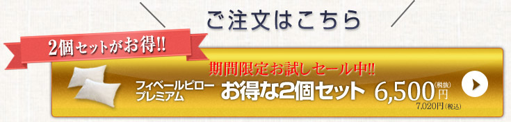 �������͂�����&rarr; �y2�Z�b�g������!!�z�t�B�x�[���s���[ �v���~�A��������2�Z�b�g